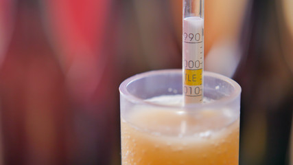 Using hydrometer to measure gravity of beer close-up - obrazy, fototapety, plakaty