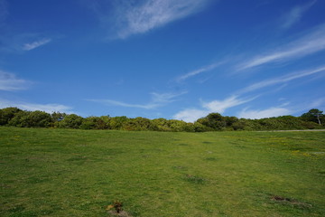 Meadows - Seven Sisters Country Park