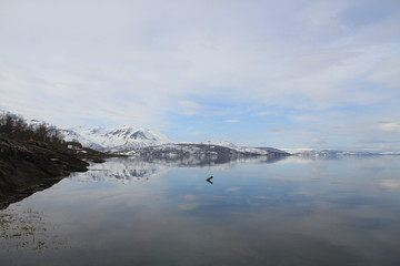 sunset, sky, sun, sunrise, nature, clouds,  landscape, evening, light, sea, cloud, blue beautiful, horizon, red, sunlight, mountain view, ocean tromso tromsø  water travel tourism sea coast nature 