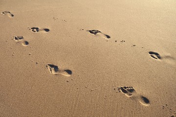Fototapeta na wymiar High Angle View Of Footprints At Sandy Beach On Sunny Day