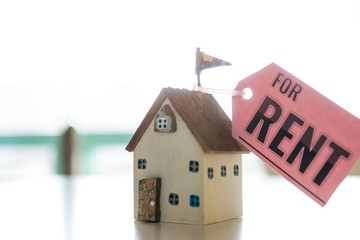 Miniature Home for rent mortgage of fee concept: DIY pink model Driftwood with tag paper "For Rent" indicate for needs of renting house for people who do not have homeowner,real estate investment idea
