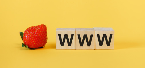 WWW word letter on wooden cubes. Internet website concept