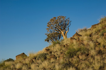 Giants playground travelling Namibia
