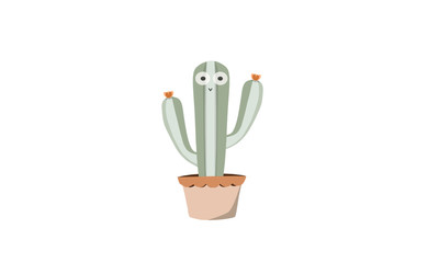 cactus in pot
