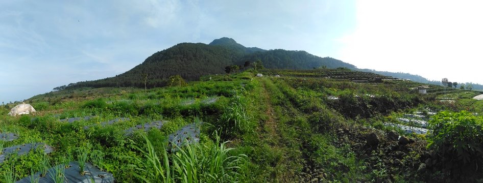 panorama of the Ungaran mountain