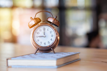 The time of love is bright pink