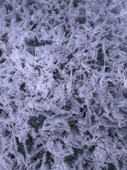 frosty pattern on window