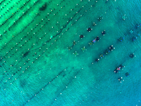 Aerial view of Lobster farming on the sea at Cam Ranh peninsula , Khanh Hoa, Vietnam
