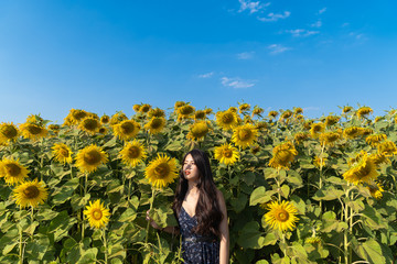 Fototapeta premium Asian cute young woman joyful, smiling with sunflowers background.