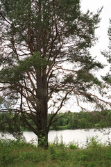sunset, sky, sun, sunrise, nature, clouds,  landscape, evening, light, sea, cloud, blue beautiful, horizon, red, sunlight, mountain view, ocean tromso troms&oslash;  water travel tourism sea coast nature