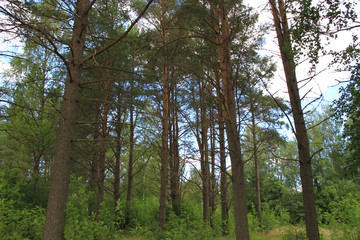 sunset, sky, sun, sunrise, nature, clouds,  landscape, evening, light, sea, cloud, blue beautiful, horizon, red, sunlight, mountain view, ocean tromso troms&oslash;  water travel tourism sea coast nature