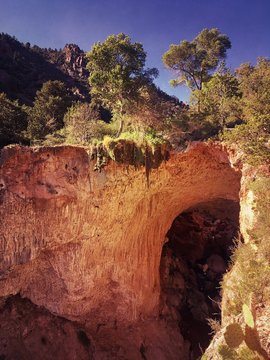 Trees At Tonto Natural Bridge