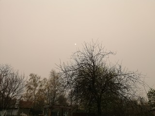 Forest fires in Chernobyl. Ukraine. Smoke in the atmosphere. Ecological catastrophy.