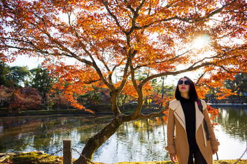 Nara Park - A Must See Scenic Spot in Nara City Established in 1880.