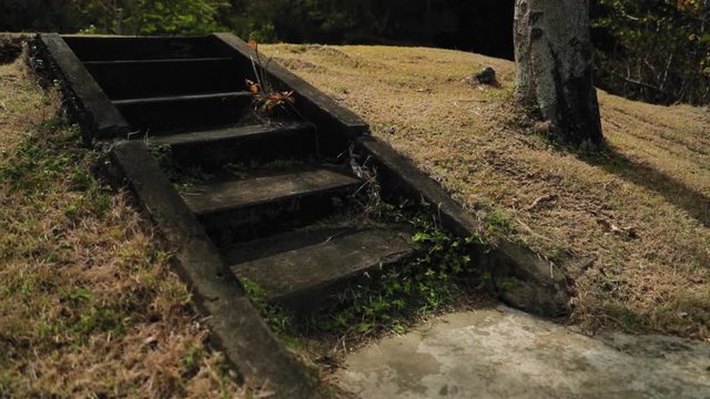 Concrete steps from a old abandoned building in Tobago, West Indies.