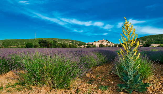 Vue panoramique de Banon, Alpes-de-Haute-Provence, France