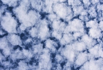 Altocumulus on a deep blue sky. Cloudscape background.