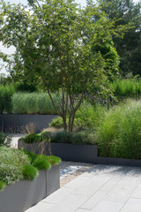 Moderne Gartengestaltung mit Gräsern und Stauden
