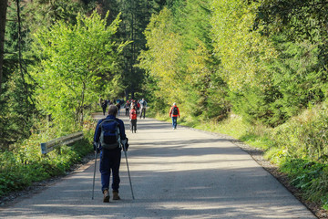 A person with a disability walks through the forest. Man with crutches, back view.
