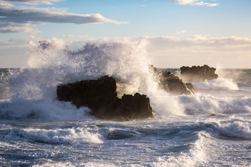 Windy Day