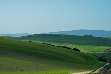 green field and blue sky