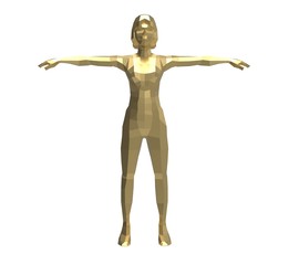3d illustration of the low poly woman
