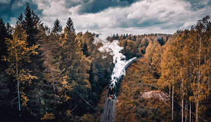 Old soviet steam locomotive passing though Karelian forrest