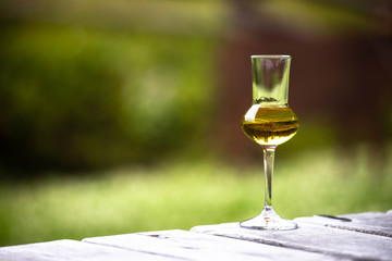 A glass of Gentian flavored Grappa (Schnapps) glasses in Cortina d'Ampezzo, Dolomites, Italy