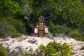 Stunning natural park near Guardamar del Segura. Province of Alicante. Spain