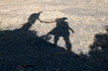 Lovely shadow of a couple