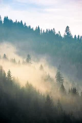 Keuken foto achterwand Mistig bos mist boven het bos op de heuvel. mysterieus mistig weer in de ochtend. fantastisch berglandschap