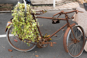 Fototapeta na wymiar Vintage bikes