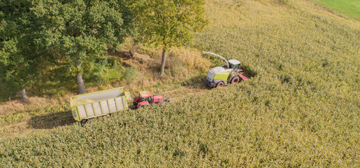 Maisernte, Maishäcksler in der Aktion, Erntewagen mit Traktor