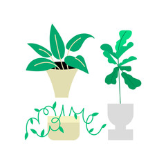 Illustration Set Of Gorgeous Indoor Plants.