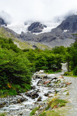 Small mountain creek or stream or river with waterfall and cascade downhill in green woods with...
