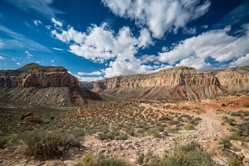Fototapeta premium Havasupai