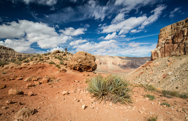 Havasupai