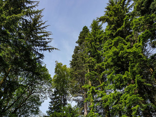 A typical view of the Bristish Lake District National Park om a clear, sunny day