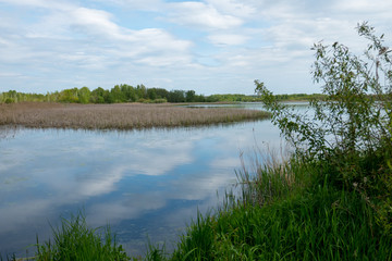 Smaller lake with lush deciduous forest around, in eastern Poland.