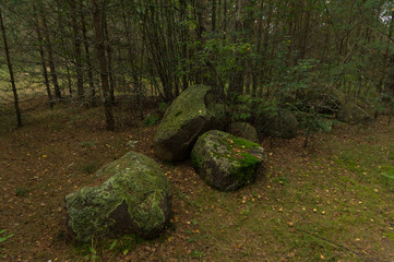 Large mossy boulders lie in a pile in a dark forest