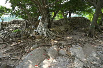 世界遺産　今帰仁城