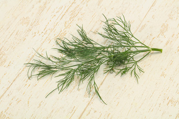 Fresh green dill herb branch