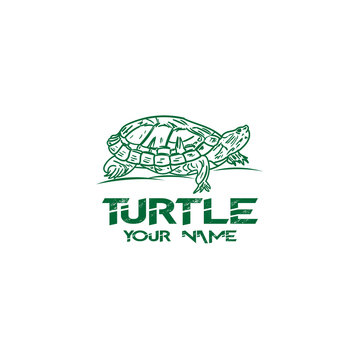 Sea Turtle Vector Illustration, Turtle Vector Sketch, Hand Drawn Sketch of Turtle, Isolated Turtle
