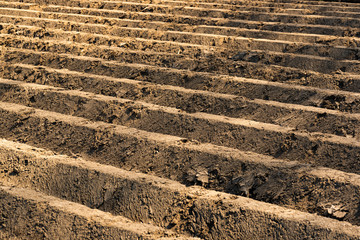Furrows row pattern in a plowed field prepared for planting crops in spring.