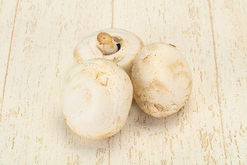 Raw Champignon heap for cooking