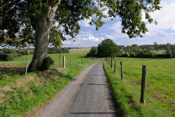 Chemin rural à travers champs