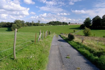 Chemin rural à travers champs