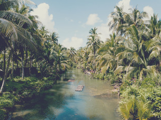 Aerial of people on a Maasin River close to the secret palm tree swing in Siargao - 340234813