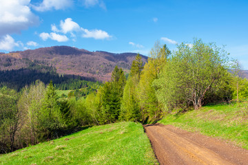 Fototapeta na wymiar beautiful nature mountain scenery. path through forest on grassy hills in springtime. concept of outdoor adventure on a sunny day with clouds on the blue sky