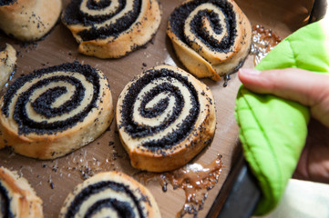 Homemade sweet bun rolls with poppy seeds. Pastries